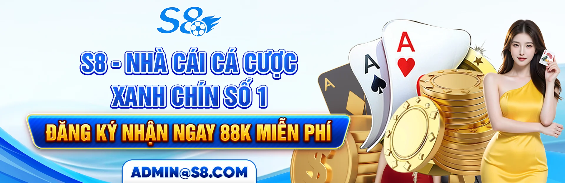 S8 BANNER